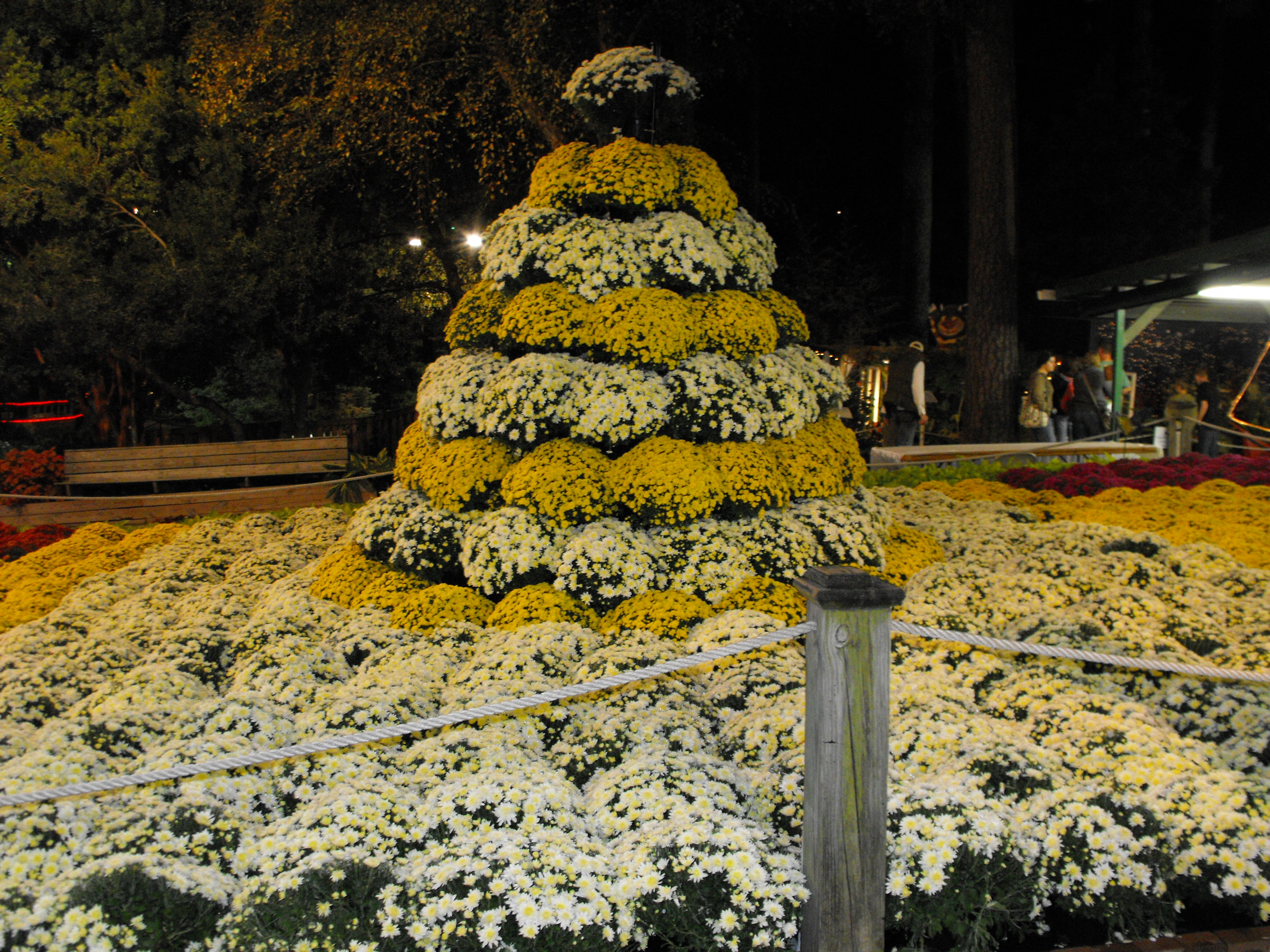 ./2009/State Fair/State Fair pt 1 0170.JPG